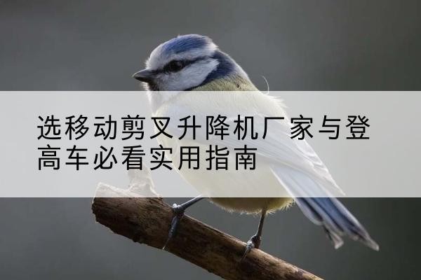 工布江达电动升降机厂家-选移动剪叉升降机厂家与登高车必看实用指南