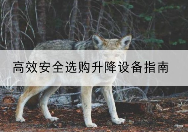 工布江达升降货梯厂家推荐-*安全选购升降设备指南