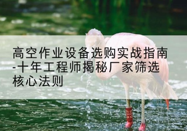 工布江达剪叉式升降机厂家-高空作业设备选购实战指南-十年工程师揭秘厂家筛选核心法则