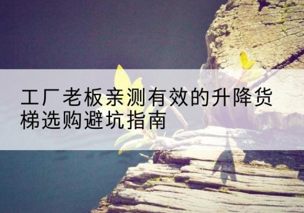 工布江达升降货梯怎么选-工厂老板亲测有效的升降货梯选购避坑指南